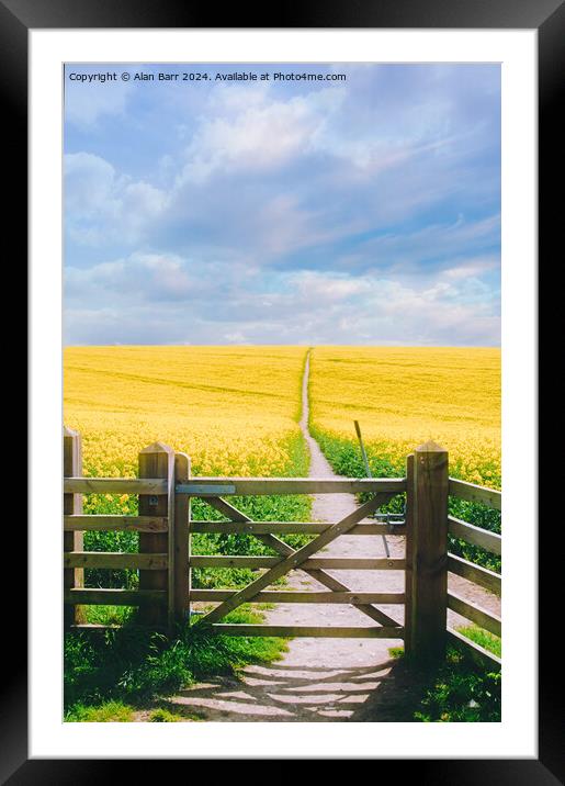 South Downs Summer Rapeseed field Framed Mounted Print by Alan Barr
