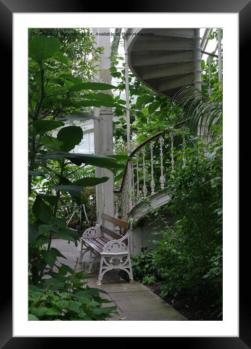 Summer House Seating Framed Mounted Print by Alan Barr