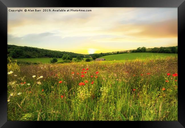 Evening on the South Downs Framed Print by Alan Barr