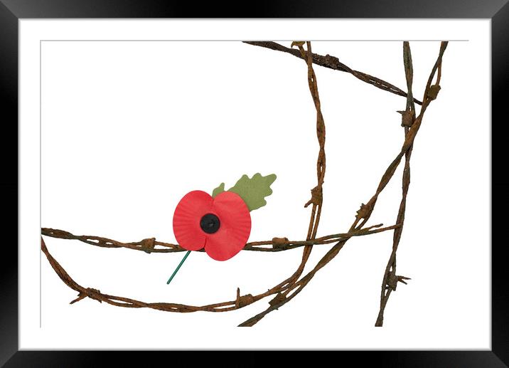 Remembrance Framed Mounted Print by Alan Barr