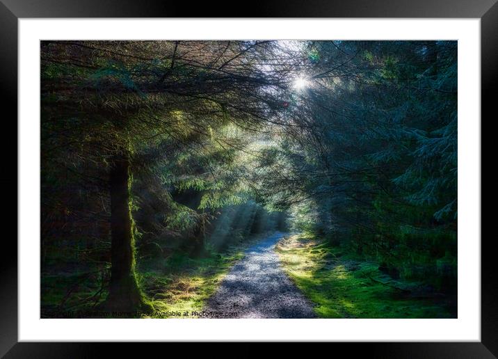 sunlight burst Framed Mounted Print by Graham Morris