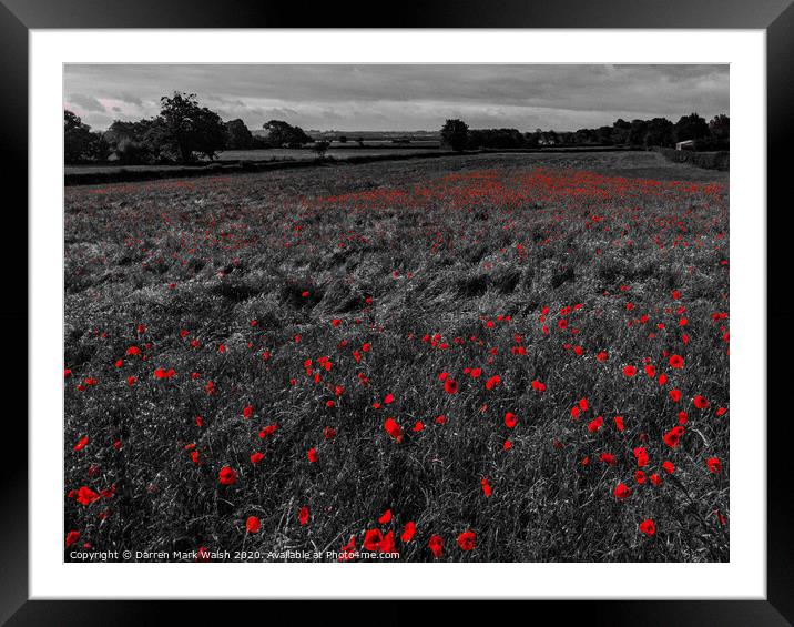 Poppies Framed Mounted Print by Darren Mark Walsh