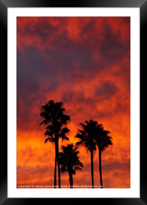 Palm Tree Sunset Framed Mounted Print by Darren Mark Walsh