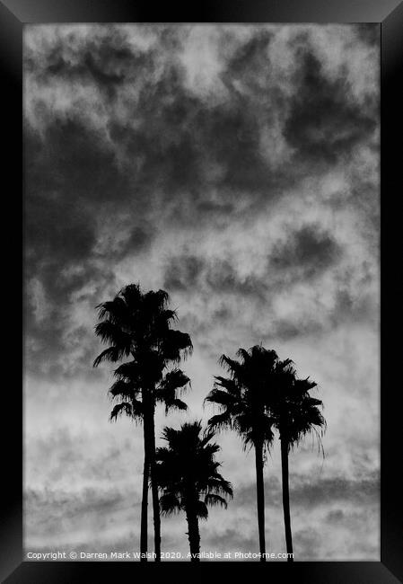 Palm Tree Silhouette Framed Print by Darren Mark Walsh