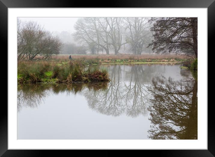 Tranquility Framed Mounted Print by Alan Jackson