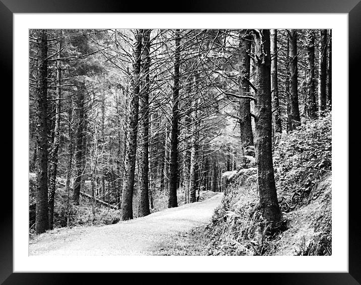 Winter Woods Framed Mounted Print by Amira-Jolie Ryan
