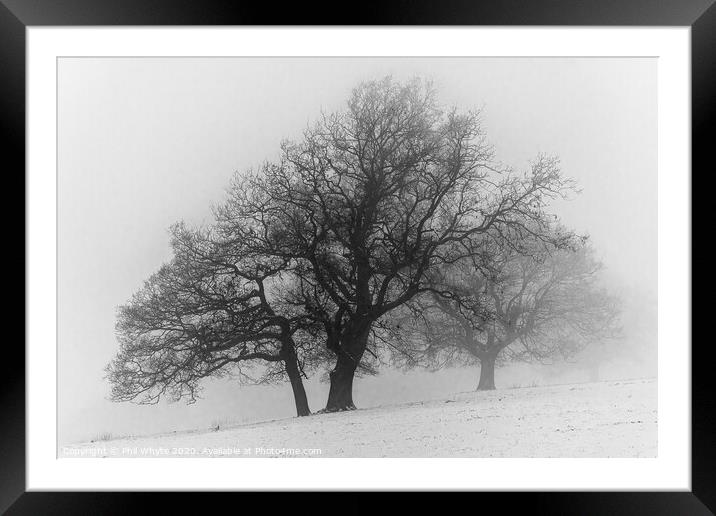 A Misty Tree on a Winter's Day Framed Mounted Print by Phil Whyte