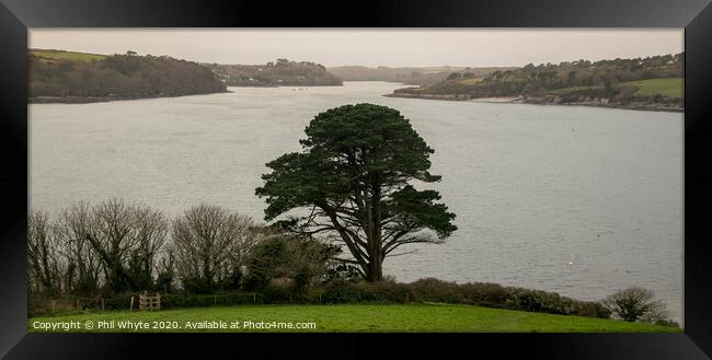 Helston Estuary Framed Print by Phil Whyte