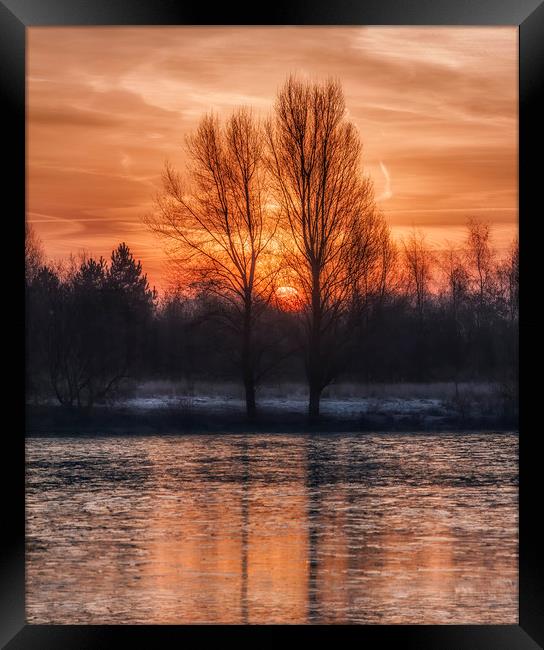 Winter Dawn Framed Print by Nick Lukey