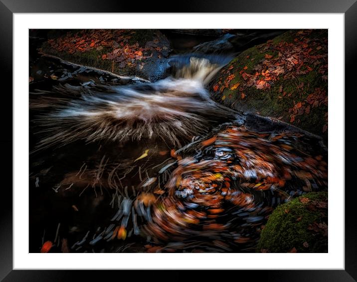 Autumn leaves River Burbage Framed Mounted Print by Nick Lukey