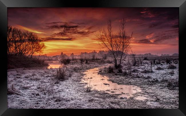 Winter dawn flood meadow Staffordshire Framed Print by Nick Lukey