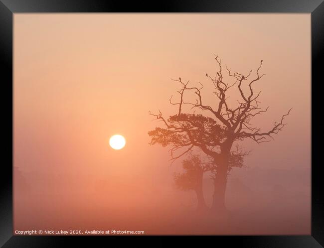 sunrise on a misty morning swarkestone derbyshire Framed Print by Nick Lukey