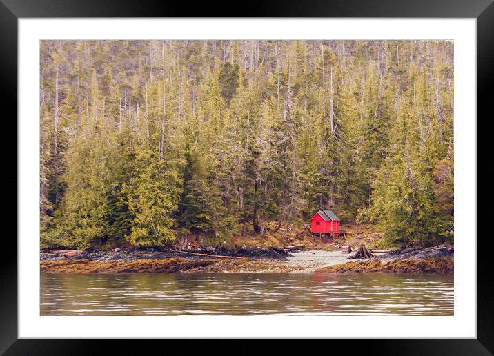 Red Cabin on Edge of Alaskan Waterway in Evergreen Framed Mounted Print by Darryl Brooks