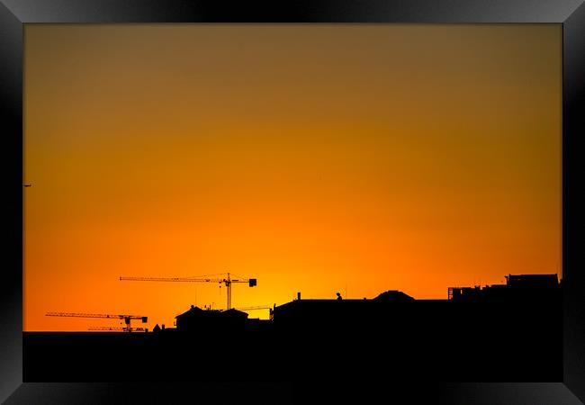 Two Cranes at Sunset Framed Print by Darryl Brooks