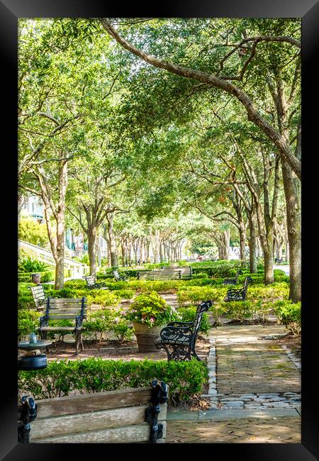 Beautiful Park in Charleston Framed Print by Darryl Brooks