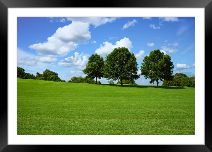 Trees on Hill in Park Framed Mounted Print by Darryl Brooks