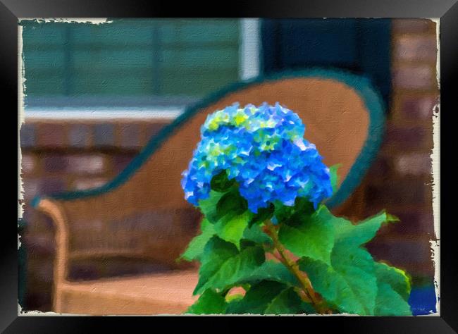 Blue Hydrangea on Porch Framed Print by Darryl Brooks