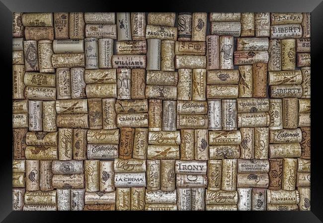 Champagne Corks on Wall Framed Print by Darryl Brooks