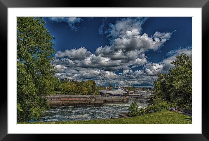 Golden Alaska Through Ballard Locks Framed Mounted Print by Darryl Brooks