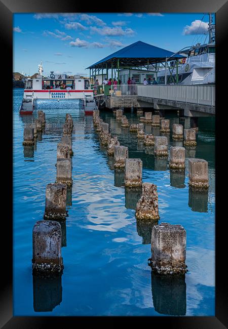 Old Pilings into Barbuda Express Framed Print by Darryl Brooks
