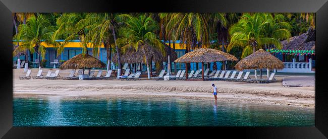 Man Alone on Tropical Resort Beach Framed Print by Darryl Brooks