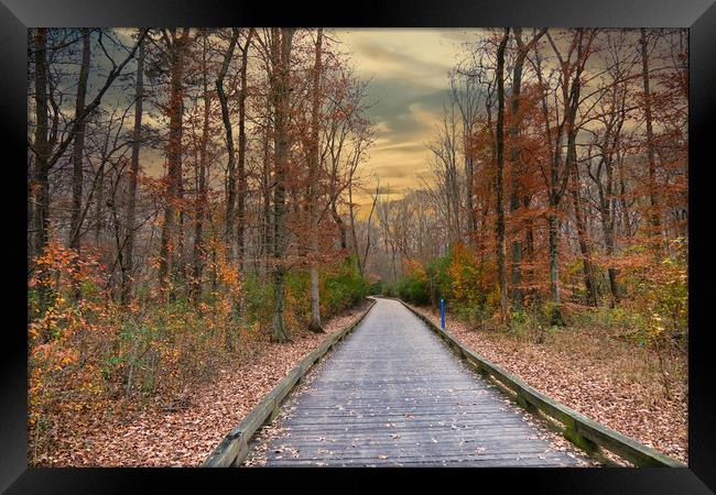 Autumn on the Greenway Framed Print by Darryl Brooks