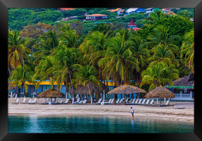 Man Alone on Tropical Resort Beach Framed Print by Darryl Brooks