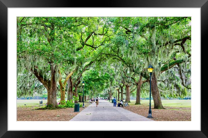 Many People in Forsyth Park Framed Mounted Print by Darryl Brooks