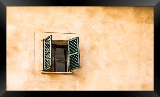 One Window with Green Shutters Framed Print by Darryl Brooks