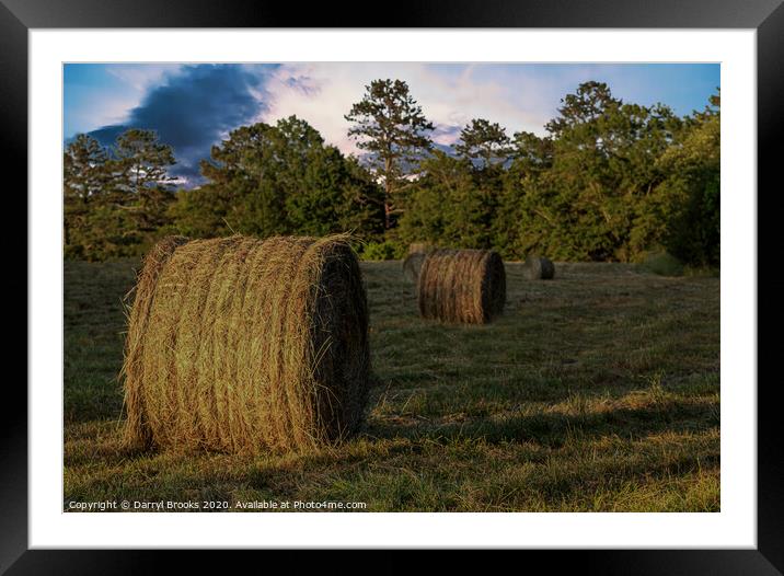 Rolls of Hay in Golden Hour Framed Mounted Print by Darryl Brooks