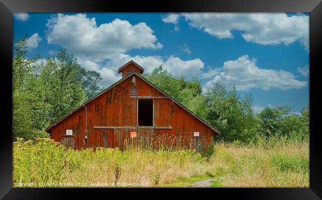 Old Red Barn in the Weeds Framed Print by Darryl Brooks