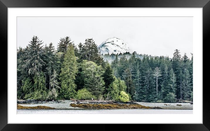 Trees on Shore of Alaska Framed Mounted Print by Darryl Brooks