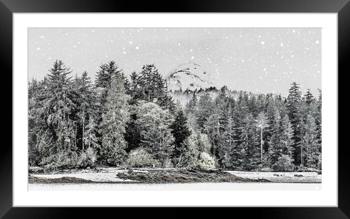 Trees on Shore of Alaska Snow Framed Mounted Print by Darryl Brooks