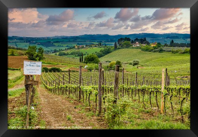 Tuscany Farm and Vineyard Framed Print by Darryl Brooks
