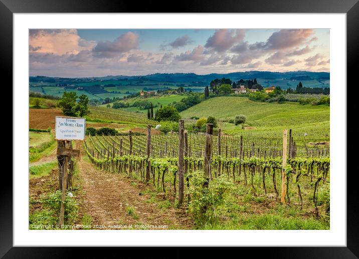 Tuscany Farm and Vineyard Framed Mounted Print by Darryl Brooks