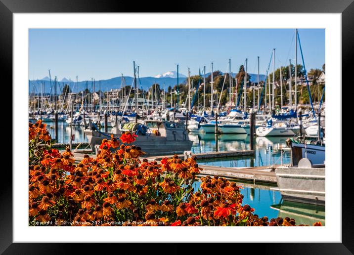 Flowers in Front of Marina and Mountain Framed Mounted Print by Darryl Brooks