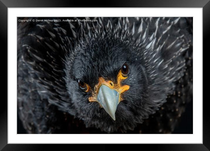 The Glare Framed Mounted Print by Derek Hickey