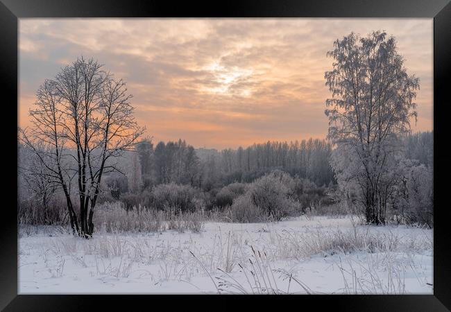 Winter snowy landscape with trees covered with frost and snow Framed Print by Dobrydnev Sergei