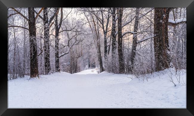 Winter snowy landscape with trees covered with frost and snow Framed Print by Dobrydnev Sergei