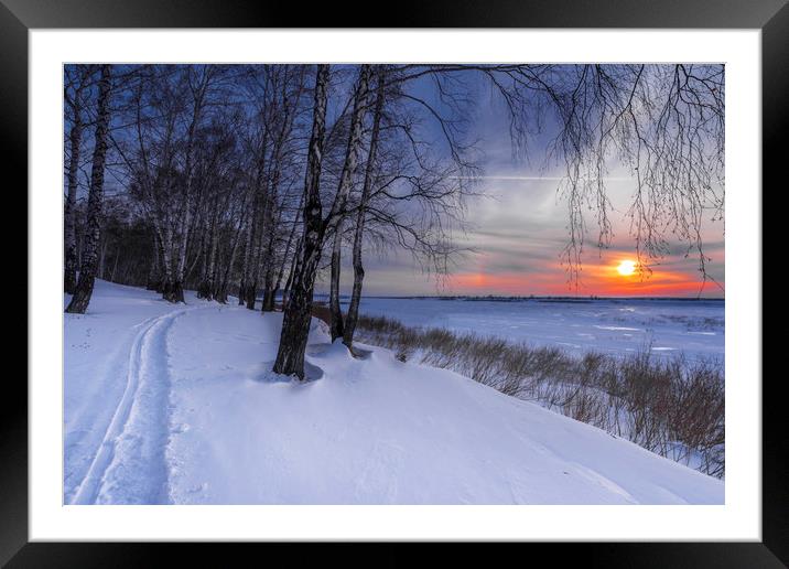 Trees and setting sun in winter valley Framed Mounted Print by Dobrydnev Sergei