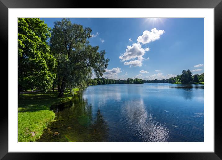 Lake in a natural park with trees growing on the b Framed Mounted Print by Dobrydnev Sergei