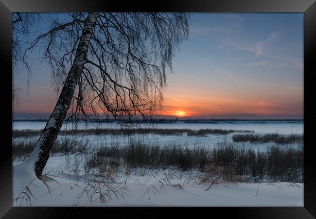 The setting sun on a frosty evening Framed Print by Dobrydnev Sergei
