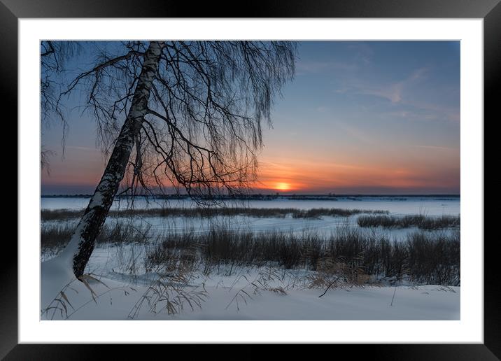 The setting sun on a frosty evening Framed Mounted Print by Dobrydnev Sergei