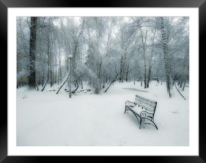Snow-covered city park with a lonely bench Framed Mounted Print by Dobrydnev Sergei