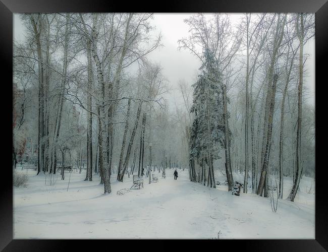 Snow-covered city park with a lonely passer Framed Print by Dobrydnev Sergei