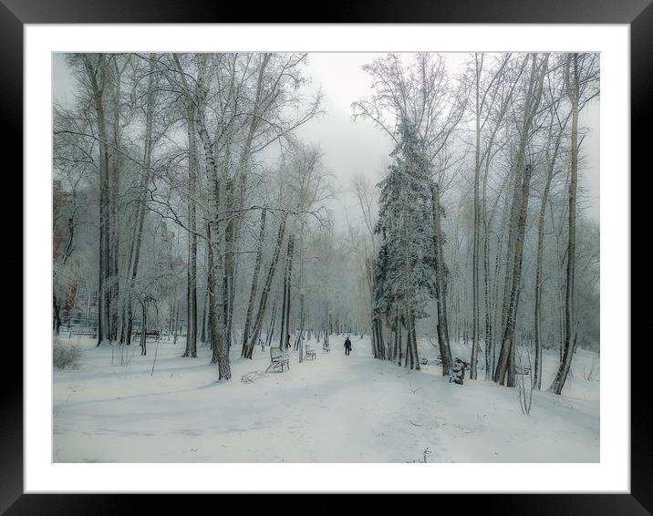 Snow-covered city park with a lonely passer Framed Mounted Print by Dobrydnev Sergei