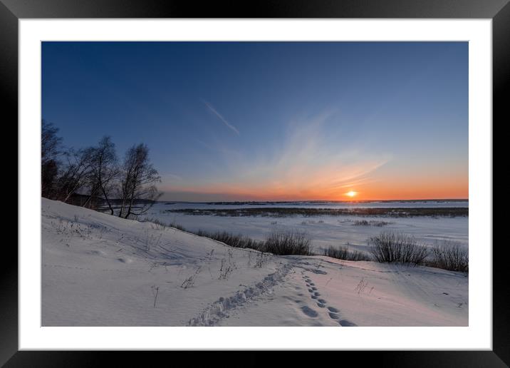 Birch trees on the edge of a snow-covered river va Framed Mounted Print by Dobrydnev Sergei