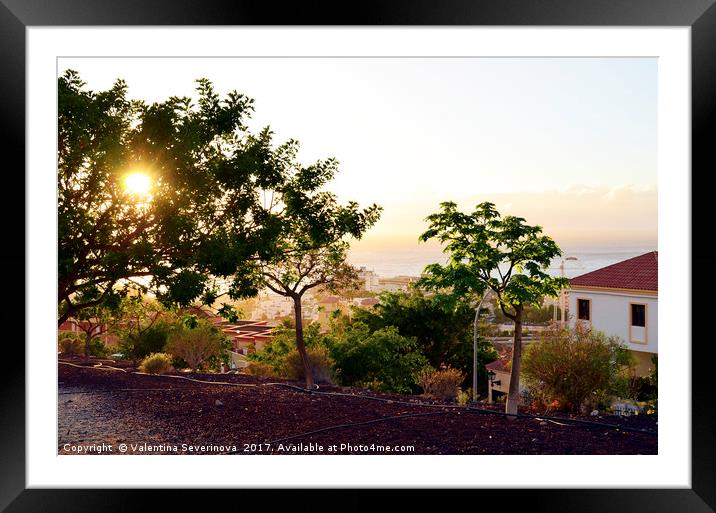 Sunset in Costa Adeje,Tenerife,Canary Islands. Framed Mounted Print by Valentina Severinova