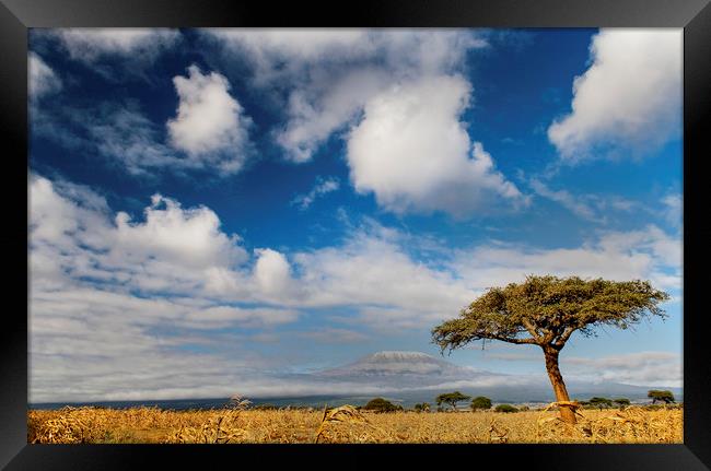Kilimanjaro Framed Print by Sean Clee