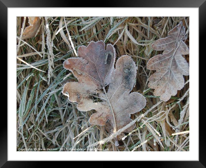 November Framed Mounted Print by Steve Henson